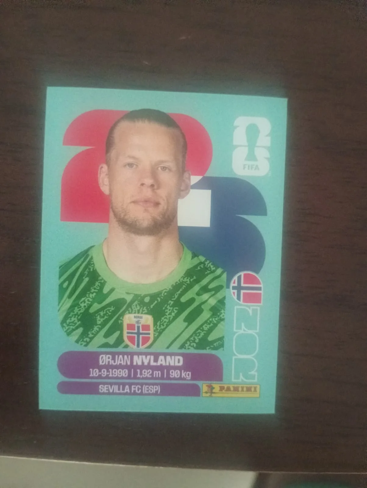 Nyland Nouega 2