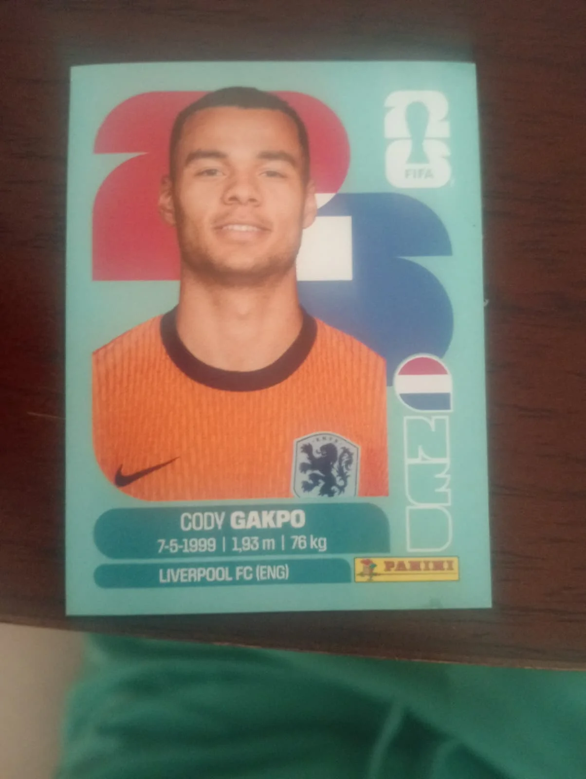 Gakpo Paises Bajos 20