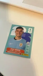 Manuel Ugarte (Uruguay)