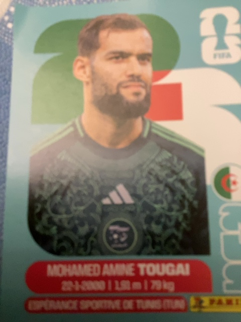 Mohamed Amine Tougai (Algeria)