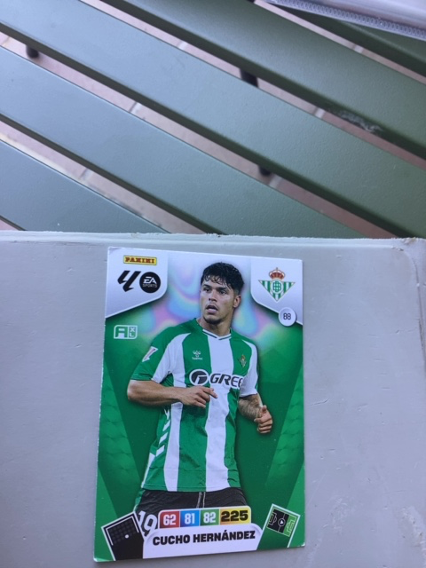 CUCHO HERNÁNDEZ