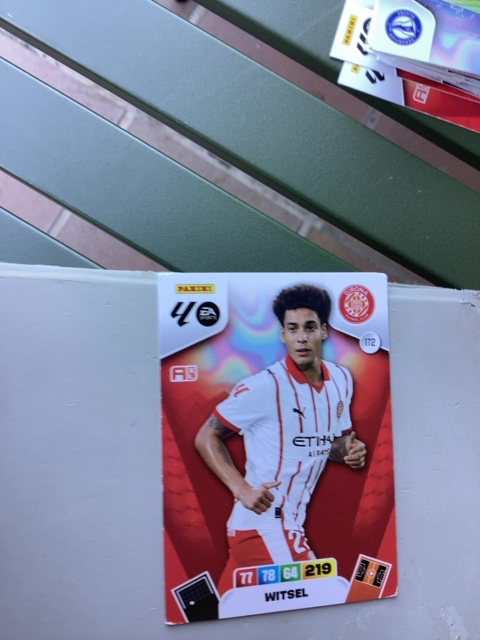 WITSEL