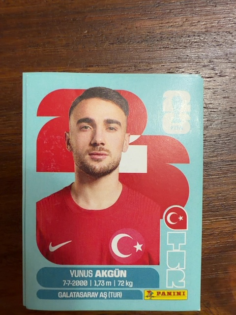 Yunus Akgun (Türkiye)