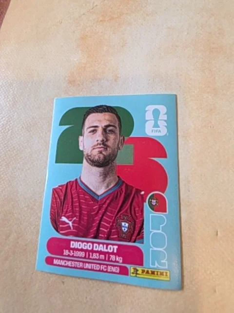 Diogo Dalot (Portugal)