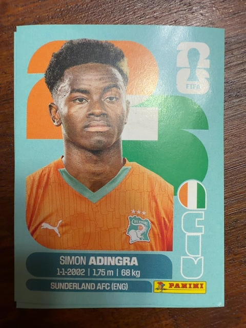 Simon Adringa (Ivory Coast)