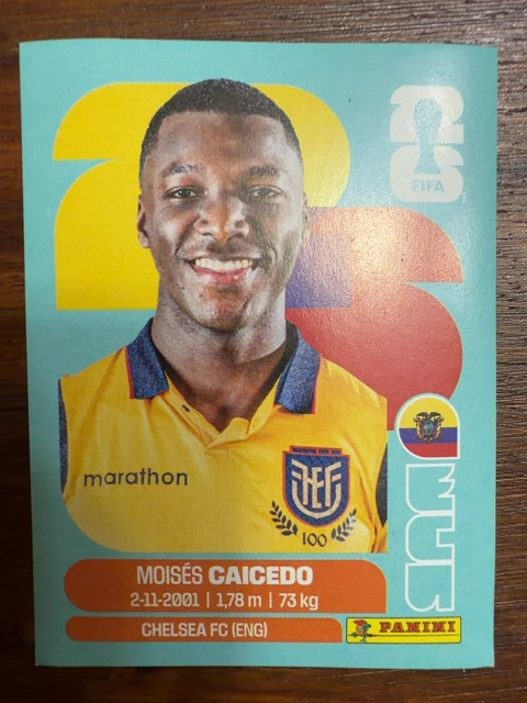 Moises Caicedo (Ecuador)