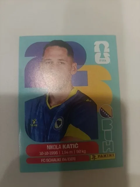 Nikola Katic (Bosnia and Herzegovina)