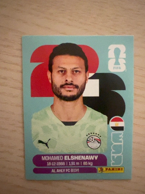 Mohamed El Shenawy (Egypt)