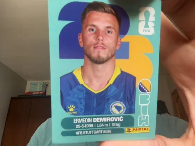 Ermedin Demirovic (Bosnia and Herzegovina)
