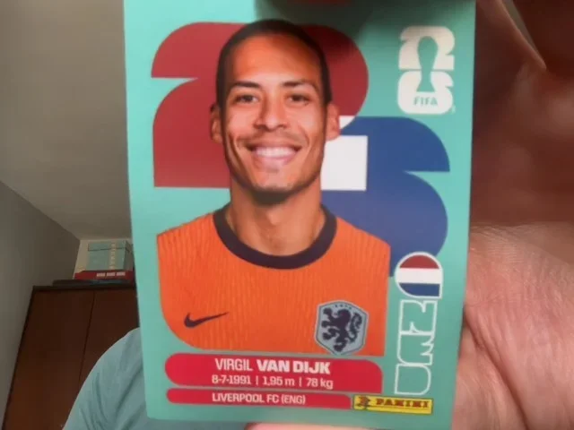 Virgil Van Dijk (Netherlands)