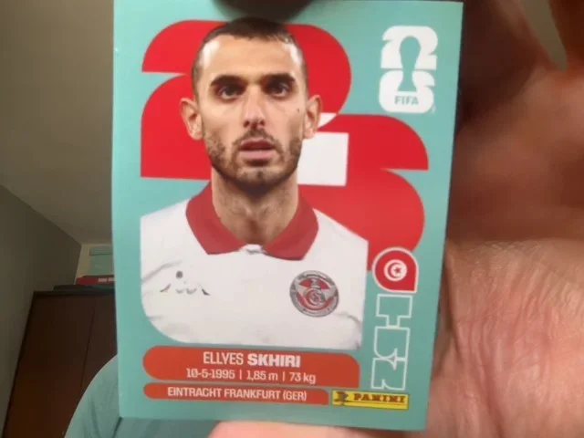 Ellyes Skhiri (Tunisia)