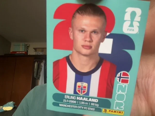 Erling Haaland (Norway)