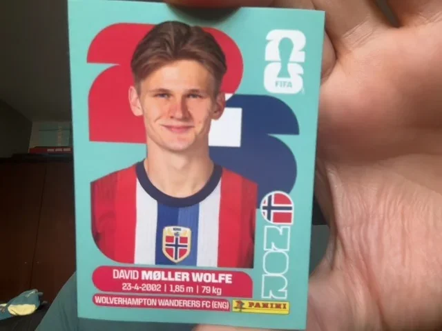 David Møller Wolfe (Norway)
