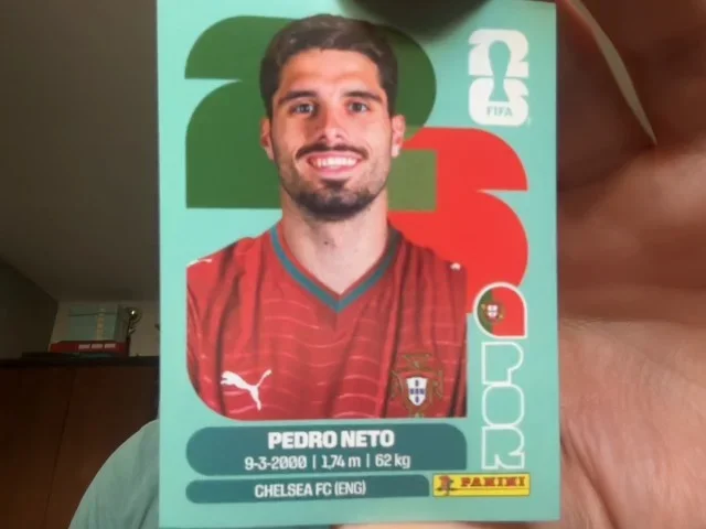 Pedro Neto (Portugal)