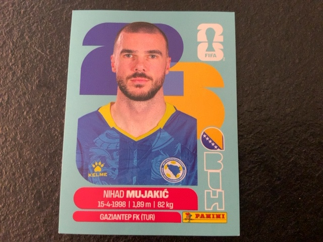 Nihad Mujakic (Bosnia and Herzegovina)