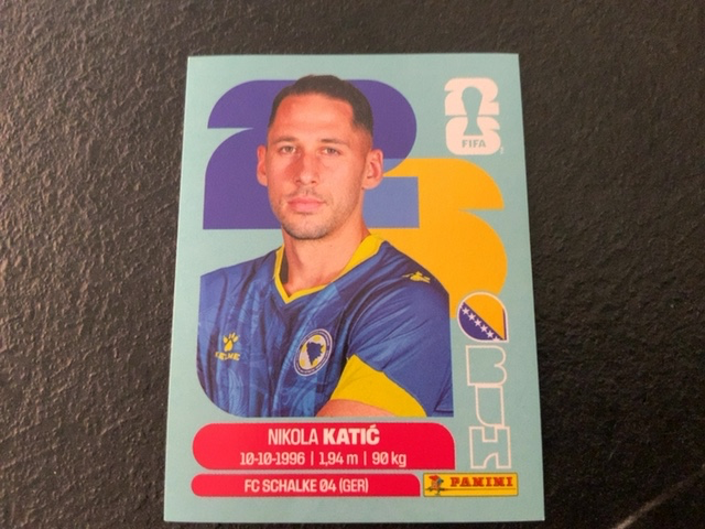 Nikola Katic (Bosnia and Herzegovina)