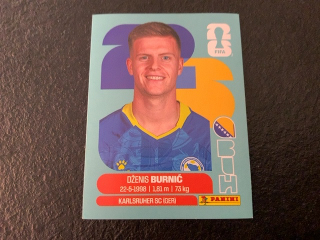 Dzenis Burnic (Bosnia and Herzegovina)