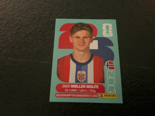 David Møller Wolfe (Norway)