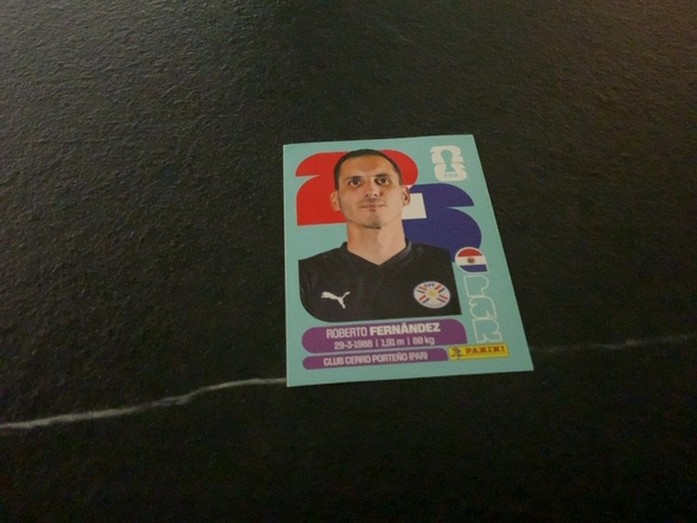 Roberto Fernandez (Paraguay)