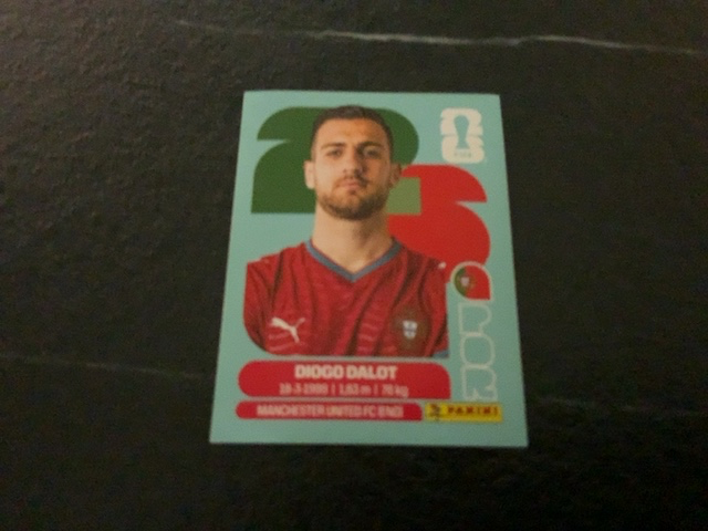 Diogo Dalot (Portugal)