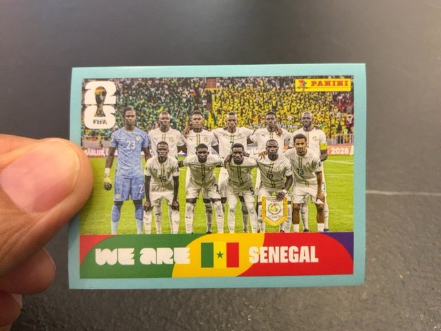Team Photo (Senegal)