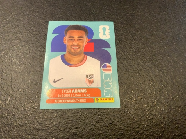 Tyler Adams (United States)