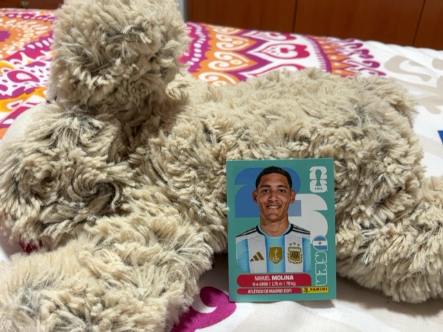 Pack de Repes - Panini Copa Mundial de la FIFA 2026