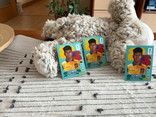 Pack de Repes - Panini Copa Mundial de la FIFA 2026